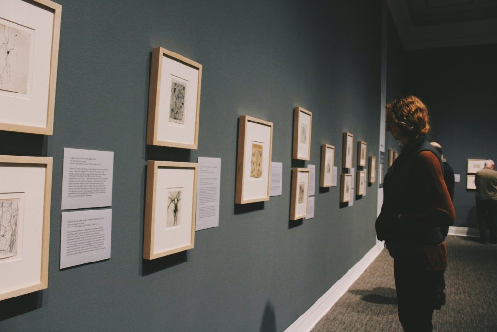 Person admiring framed artworks